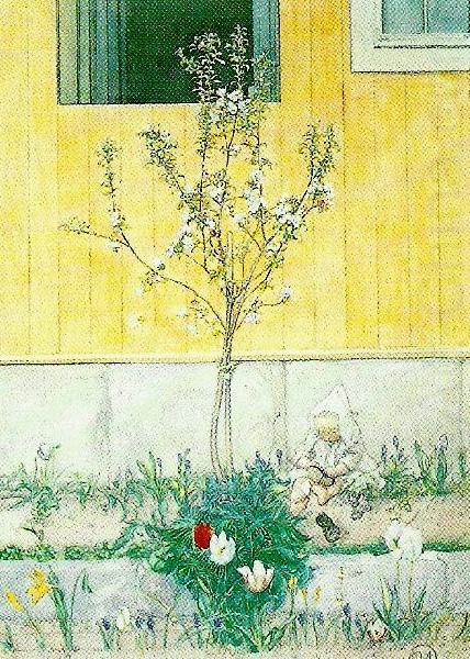 hellbergs minsta, Carl Larsson